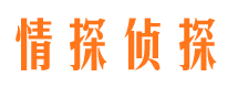 鹿泉市调查公司